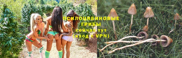 mdpv Бронницы
