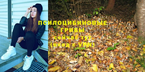 спиды Верхний Тагил