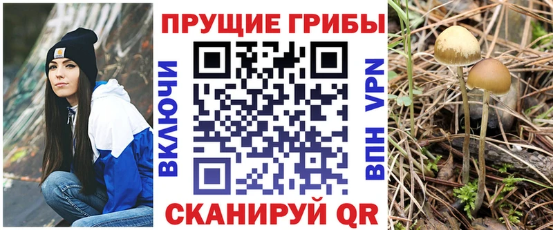 где купить наркоту  Кондопога  Псилоцибиновые грибы мухоморы 